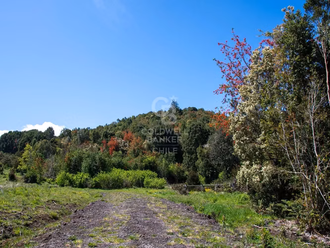 Inmersas en bosque, con orilla de rio y vista al lago.