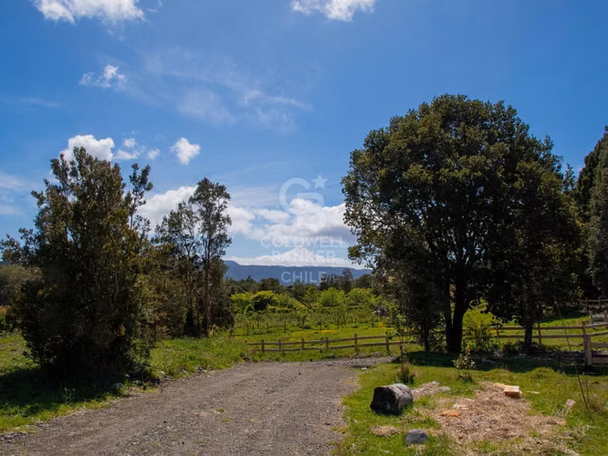 Inmersas en bosque, con orilla de rio y vista al lago.