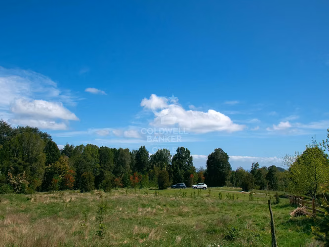 Inmersas en bosque, con orilla de rio y vista al lago.