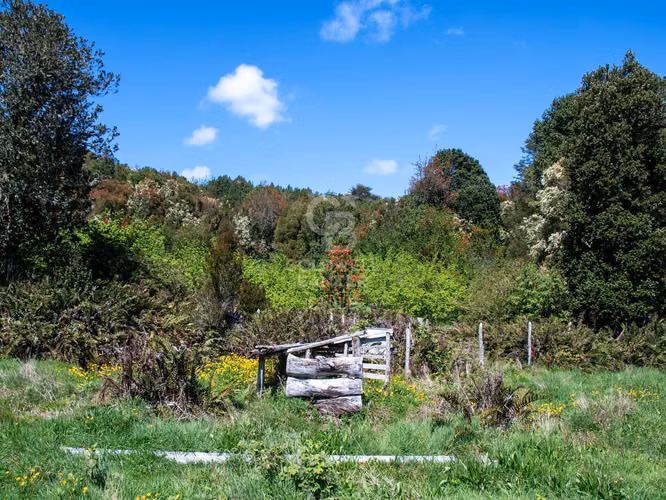 Inmersas en bosque, con orilla de rio y vista al lago.