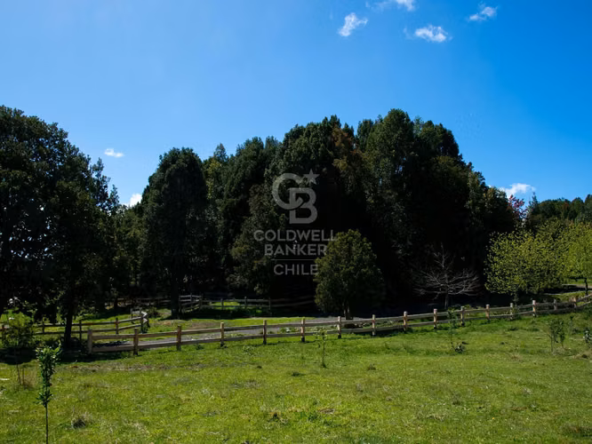 Inmersas en bosque, con orilla de rio y vista al lago.