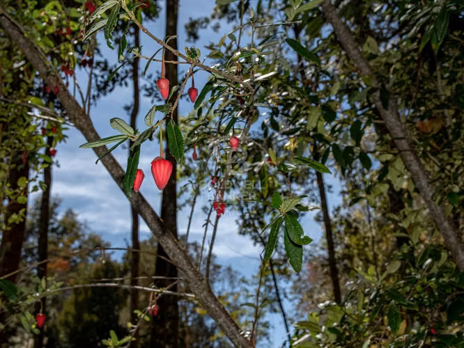 Inmersas en bosque, con orilla de rio y vista al lago.