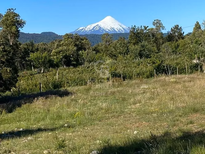 Inmersas en bosque, con orilla de rio y vista al lago.