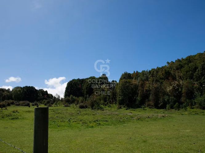 Inmersas en bosque, con orilla de rio y vista al lago.