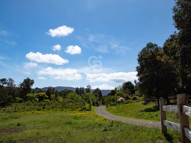 Inmersas en bosque, con orilla de rio y vista al lago.