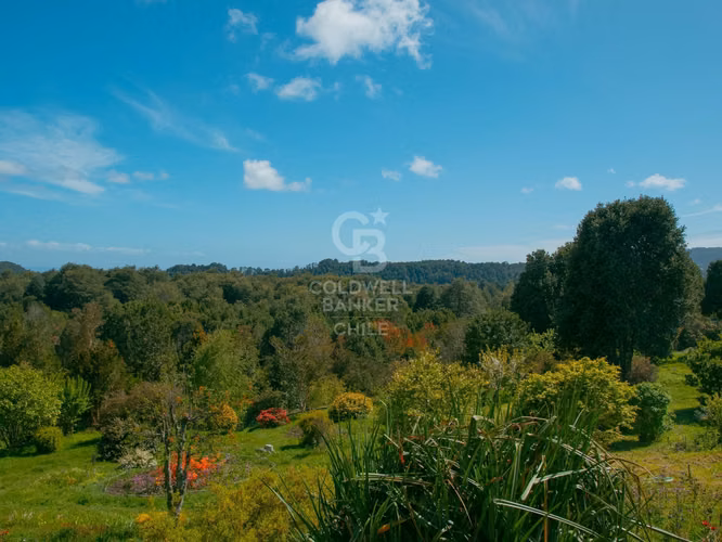Inmersas en bosque, con orilla de rio y vista al lago.