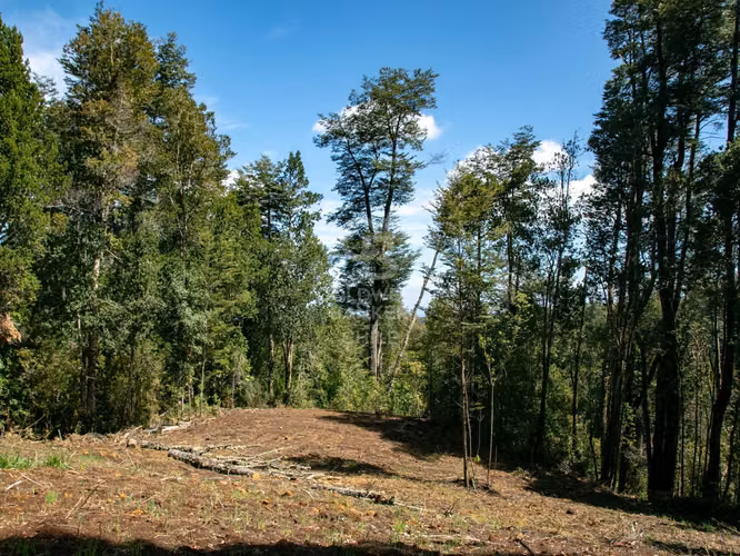 Inmersas en bosque, con orilla de rio y vista al lago.