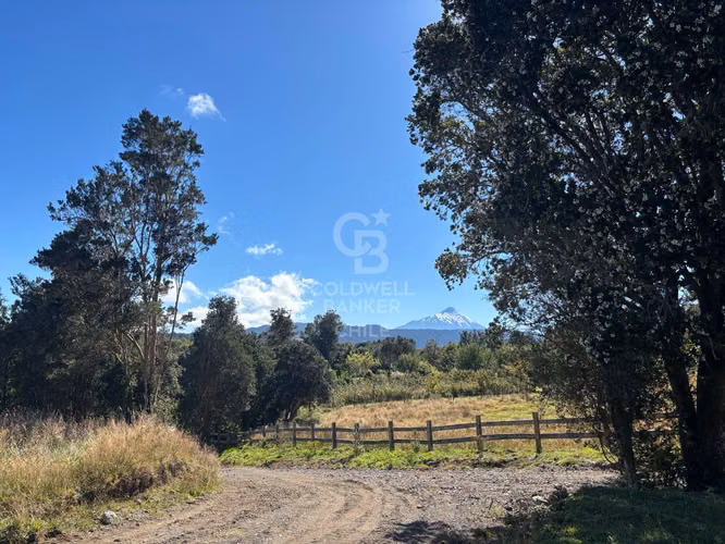 Inmersas en bosque, con orilla de rio y vista al lago.