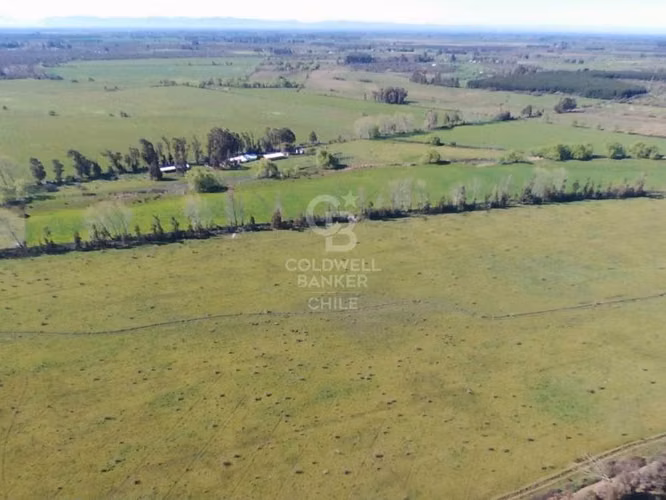 Fundo Agrícola en San Carlos
