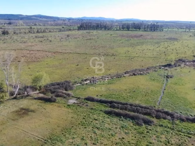 Fundo Agrícola en San Carlos