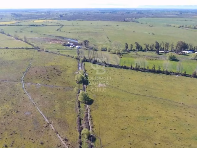 Fundo Agrícola en San Carlos