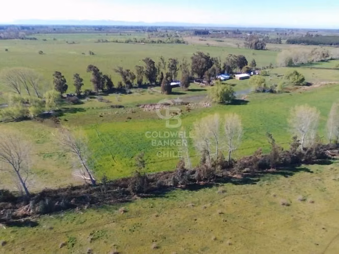 Fundo Agrícola en San Carlos