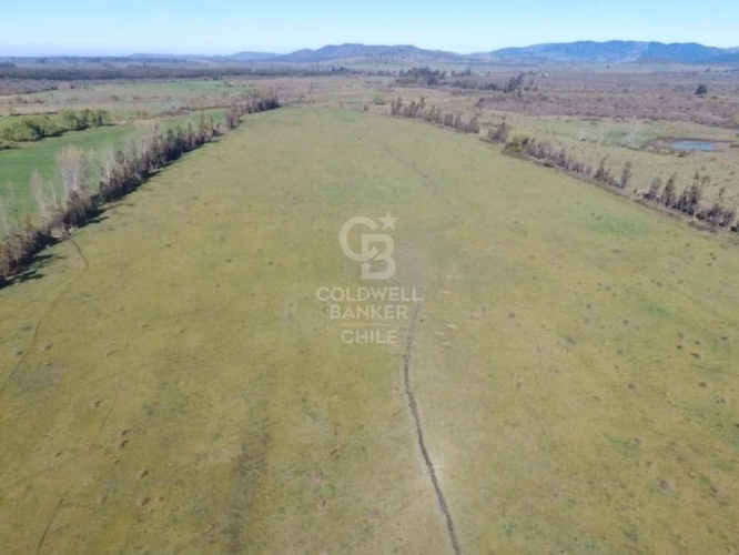 Fundo Agrícola en San Carlos