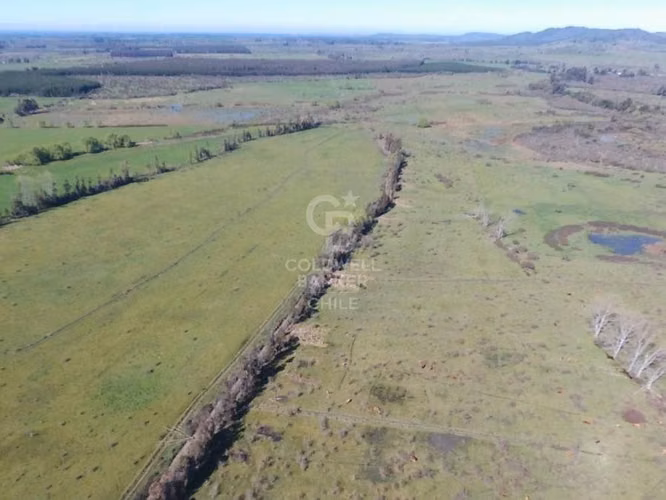 Fundo Agrícola en San Carlos