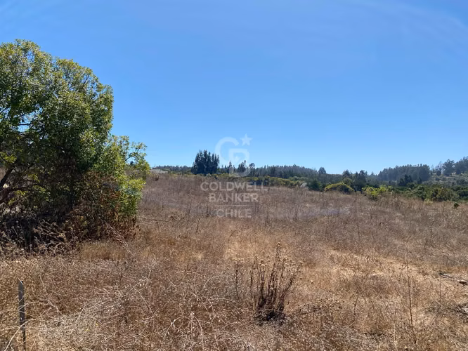 Bosques de Monte Sagrado sitio llegar y construir
