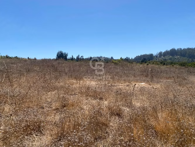 Bosques de Monte Sagrado sitio llegar y construir