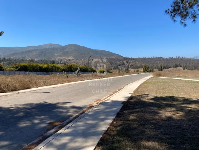 Bosques de Monte Sagrado sitio llegar y construir