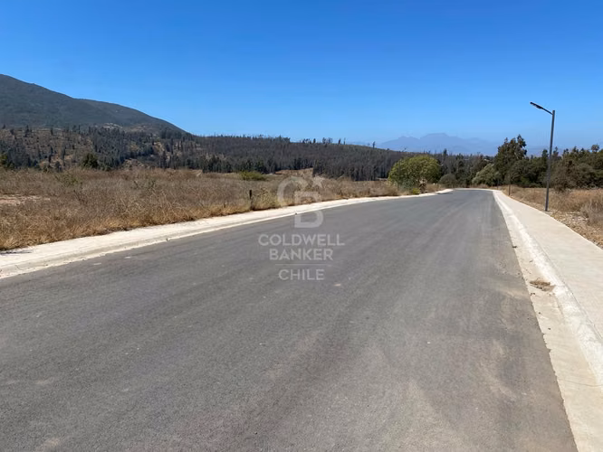 Bosques de Monte Sagrado sitio llegar y construir