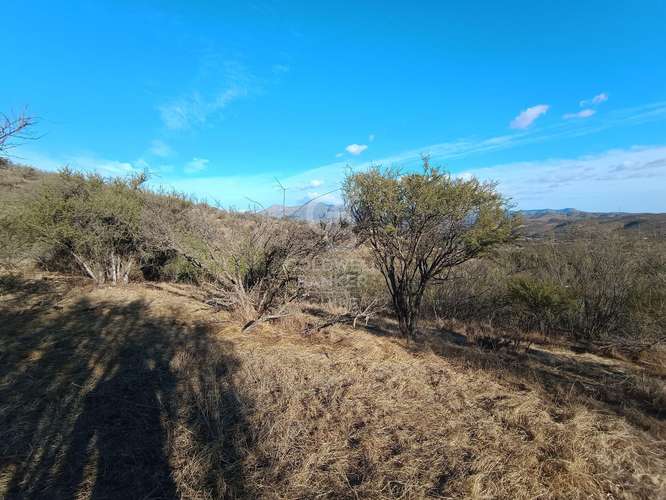 Gran Parcela agrícola en venta en Limache - Imagen 5