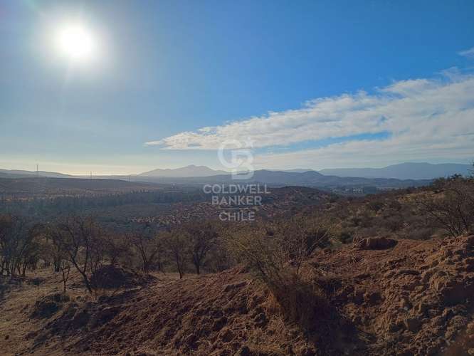 Gran Parcela agrícola en venta en Limache - Imagen 6