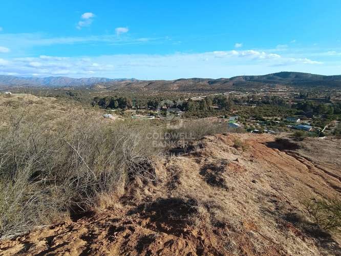 Gran Parcela agrícola en venta en Limache - Imagen 2