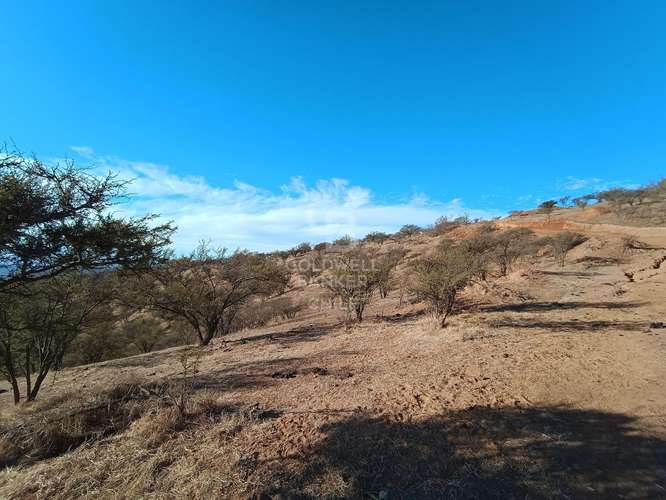 Gran Parcela agrícola en venta en Limache - Imagen 3