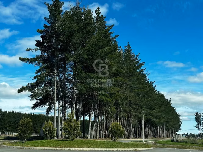 Parcela en Frutillar Alto frutillar - Imagen 3