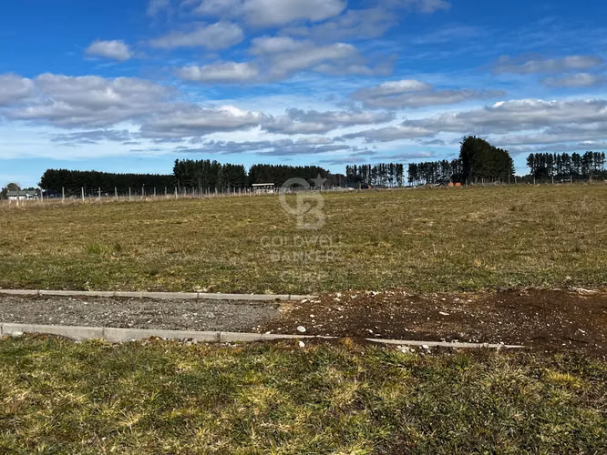 Parcela en Frutillar Alto frutillar - Imagen 11