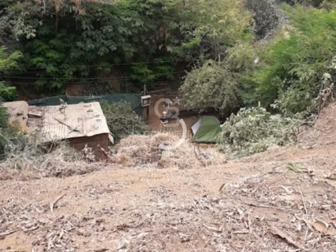 Gran Terreno  Cerro Alegre Valparaiso