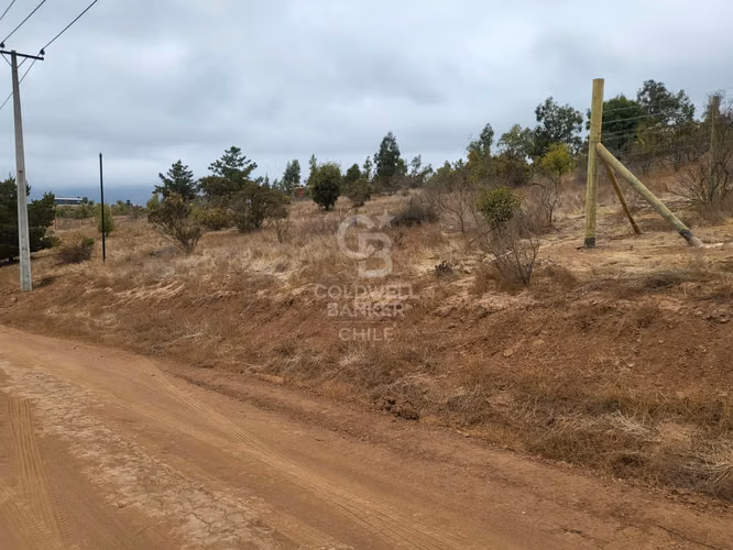 Hermosa Parcela de 2 hectareas Valle Alegre