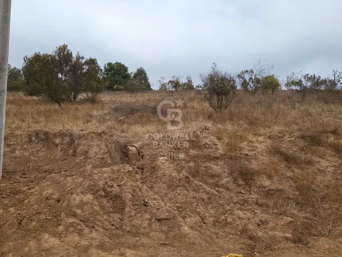 Hermosa Parcela de 2 hectareas Valle Alegre