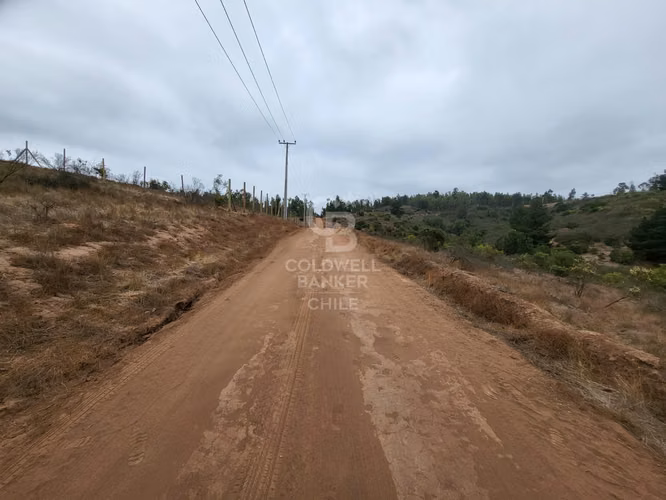 Hermosa Parcela de 2 hectareas Valle Alegre