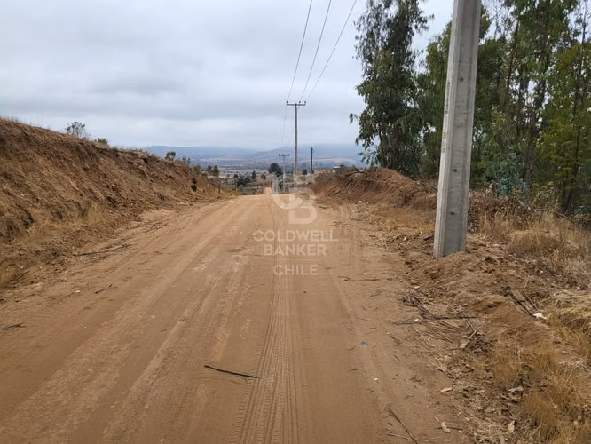Hermosa Parcela de 2 hectareas Valle Alegre