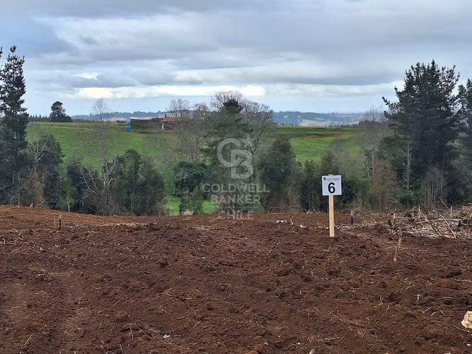 Parcelas Exclusivas: Naturaleza y Confort Cercano a Osorno