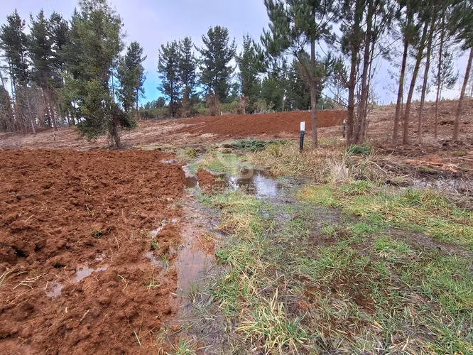Parcelas Exclusivas: Naturaleza y Confort Cercano a Osorno