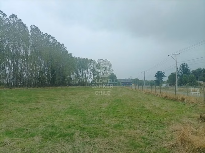 Parcela en Frutillar orilla carretera 5 sur - Imagen 9