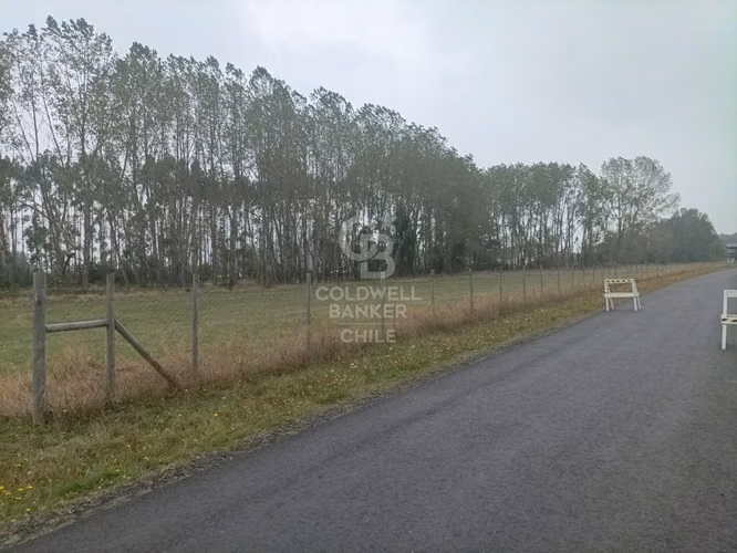 Parcela en Frutillar orilla carretera 5 sur - Imagen 3