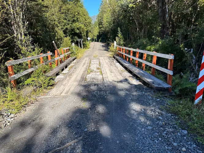 138 ha de Bosque Nativo en inicio de la Carretera Austral