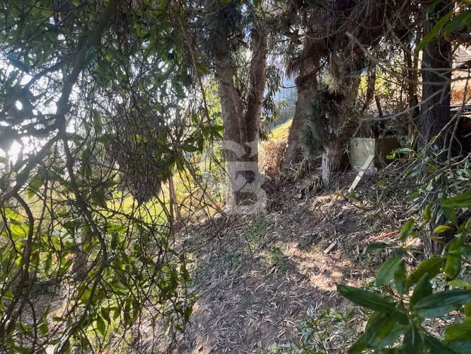 Sitio urbano Reñaca vista despejada para construir