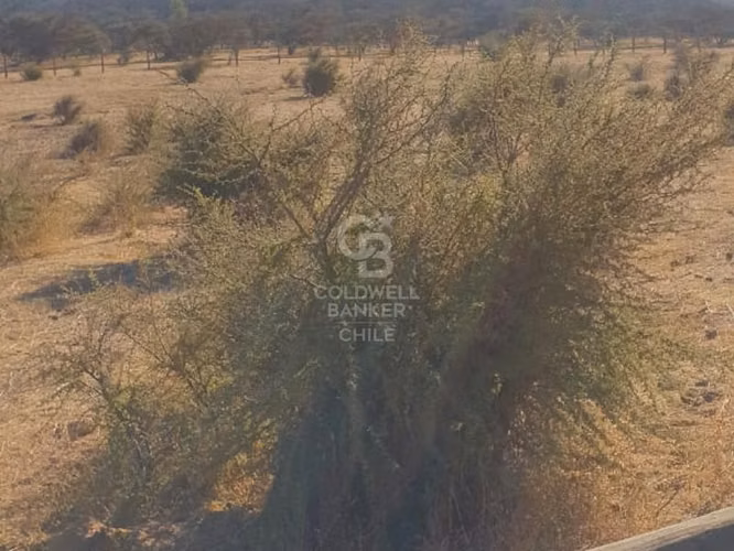 Oportunidad, parcela en un lugar soñado de Limache