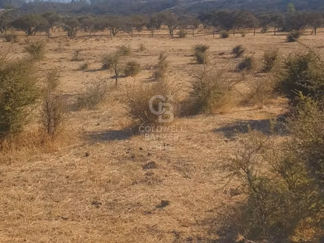 Oportunidad, parcela en un lugar soñado de Limache