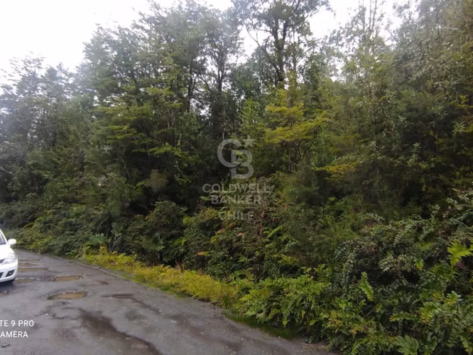 Parcela 1Ha sector Río Blanco, cerca de Lago Chapo - Imagen 8