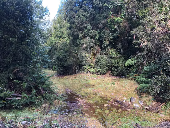 1,6 hectáreas de bosque nativo a 20 Minutos de Puerto Varas
