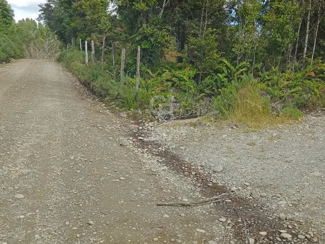 Fundo en Chiloé: 54ha estratégicas cerca del Chacao
