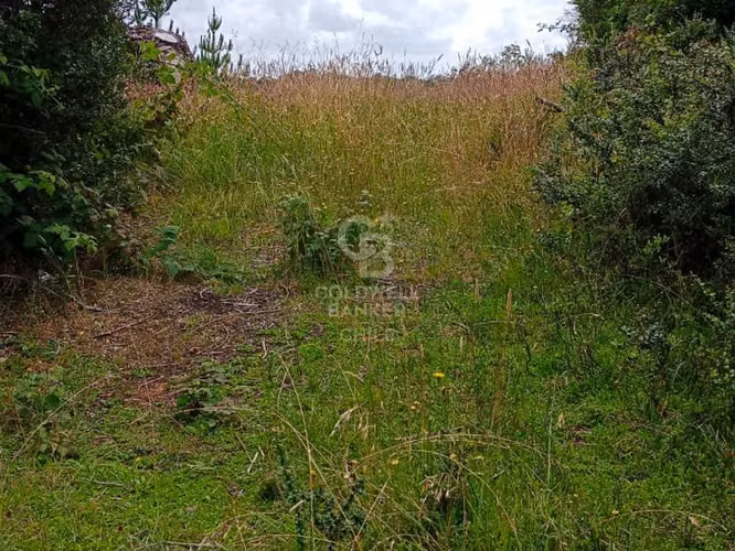 Fundo en Chiloé: 54ha estratégicas cerca del Chacao