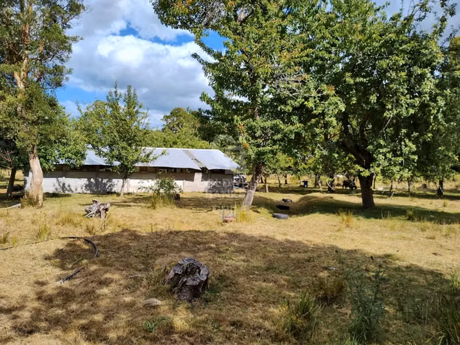 PRADERA Y BOSQUE NATIVO I FRUTILLAR