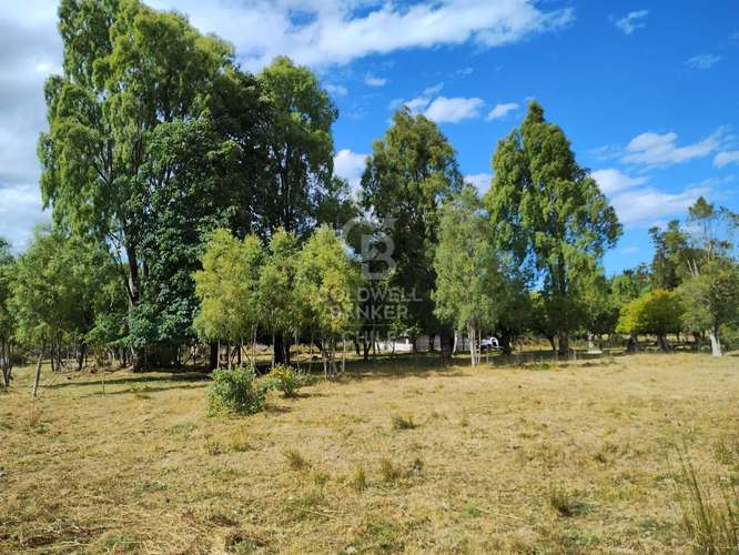 PRADERA Y BOSQUE NATIVO I FRUTILLAR - Imagen 11