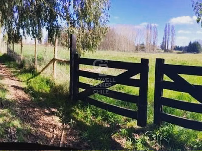 Maravillosas parcelas en el Sur de Chile.