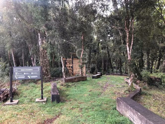 Fantástica parcela con bosque, pradera en lindo condominio