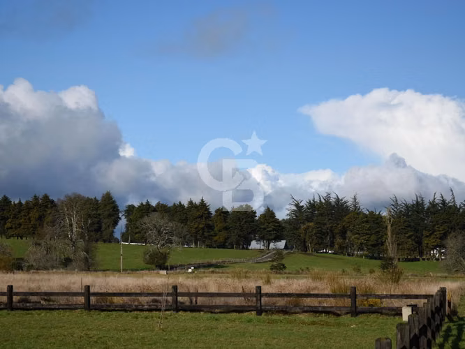 OPORTUNIDAD Parcelas en Llanquihue, camino a Loncotoro